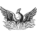 phoenix-ib.com-logo